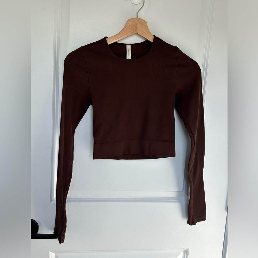 Babaton Chocolate Brown Long-Sleeve Crop Tee